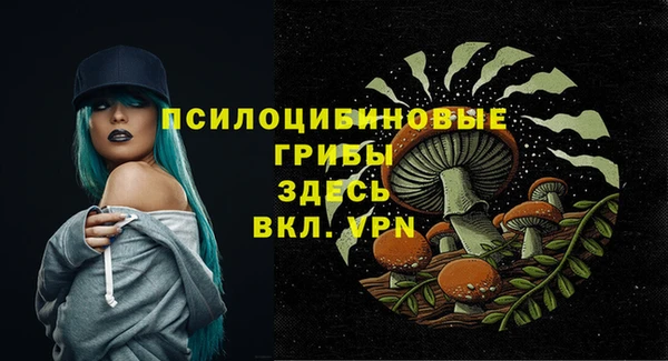 амф Белоозёрский