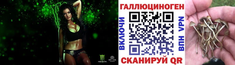 магазин продажи наркотиков  Пестово  Галлюциногенные грибы Cubensis 